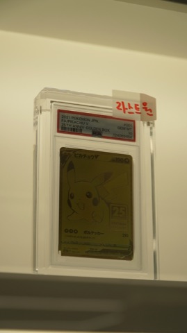 매장 진열장에 놓인 등급카드와 카드 케이스 · 등급카드 사진 14